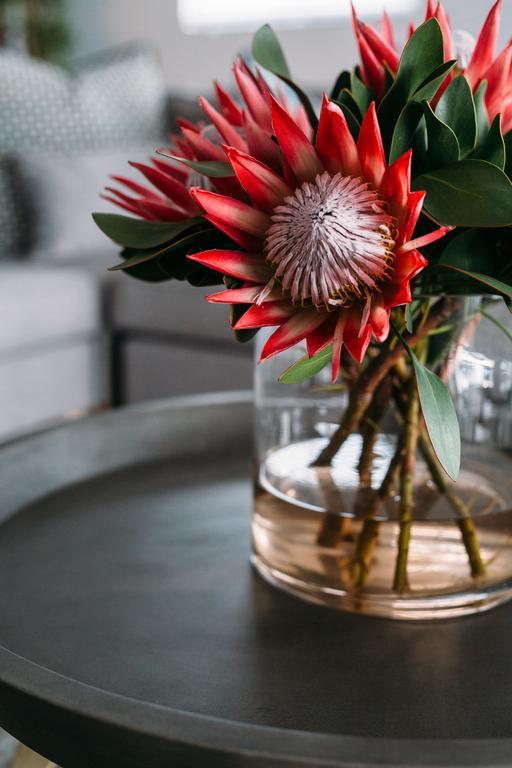 Linhof Boutique Guest House Paternoster Εξωτερικό φωτογραφία